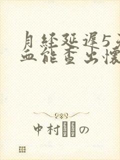 月经延迟5天验血能查出怀孕吗