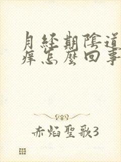 月经期阴道会瘙痒怎么回事