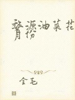 婺源油菜花在几月份