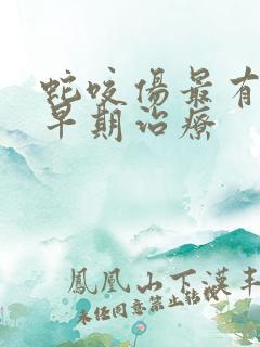 蛇咬伤最有效的早期治疗