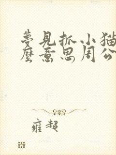 梦见抓小猫是什么意思周公解梦