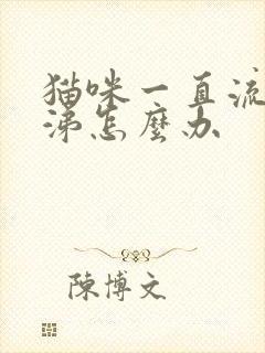 猫咪一直流脓鼻涕怎么办