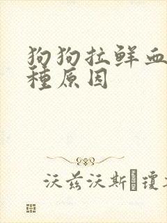 狗狗拉鲜血有几种原因