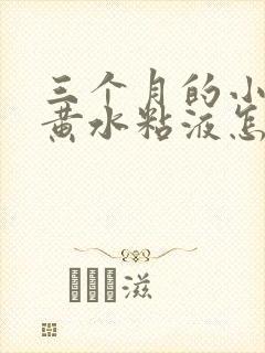 三个月的小狗吐黄水粘液怎么回事