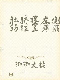 肚脐眼左侧靠腰的位置疼痛