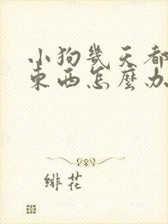 小狗几天都不吃东西怎么办