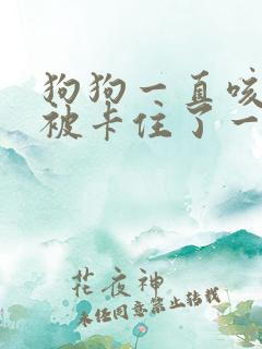 狗狗一直咳嗽像被卡住了一个多星期