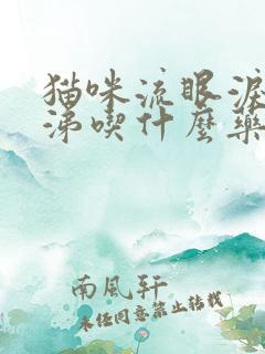 猫咪流眼泪流鼻涕吃什么药