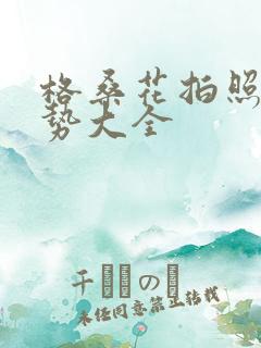 格桑花拍照的姿势大全