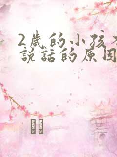 2岁的小孩不会说话的原因