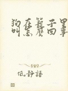 狗在笼子里一直叫怎么回事