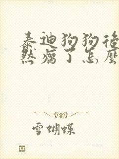 泰迪狗狗后腿突然瘸了怎么办