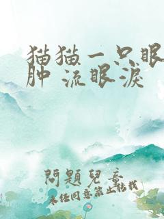 猫猫一只眼睛红肿 流眼泪