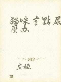 猫咪有点尿闭怎么办