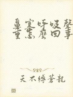 鼻塞呼吸声音很重怎么回事