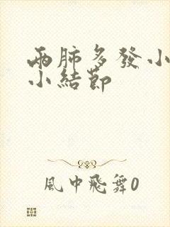 两肺多发小及微小结节