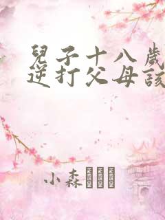 儿子十八岁了叛逆打父母该怎么办