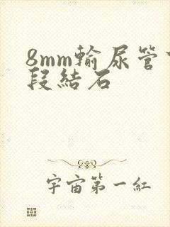 8mm输尿管下段结石