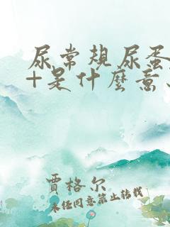 尿常规尿蛋白2+是什么意思