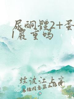 尿酮体2+蛋白1严重吗