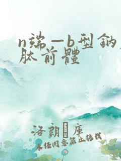 n端—b型钠尿肽前体