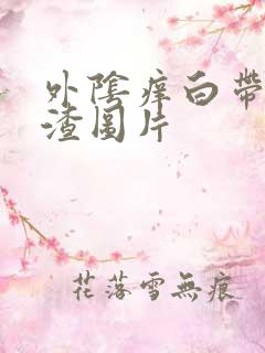 外阴痒白带豆腐渣图片