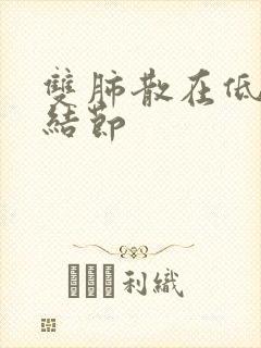 双肺散在低危小结节