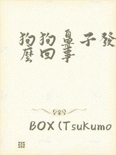 狗狗鼻子发白怎么回事