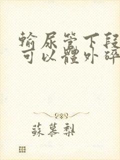 输尿管下段结石可以体外碎石