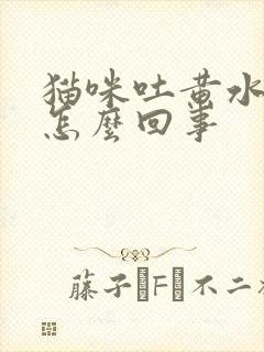 猫咪吐黄水水是怎么回事