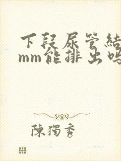 下段尿管结石6mm能排出吗