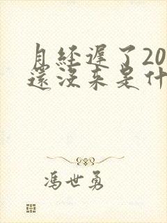 月经迟了20天还没来是什么原因