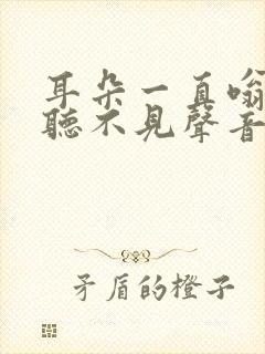 耳朵一直嗡嗡响听不见声音