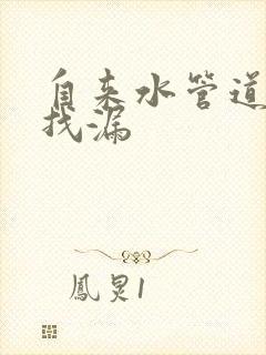 自来水管道漏水找漏