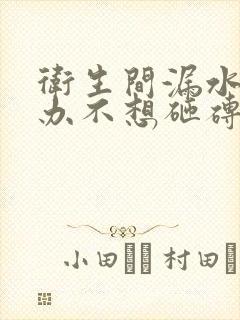 卫生间漏水怎么办不想砸砖