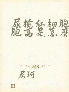 尿检红细胞白细胞高是怎么回事女性