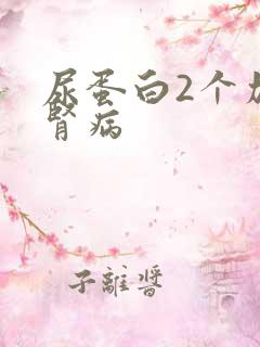 尿蛋白2个加是肾病