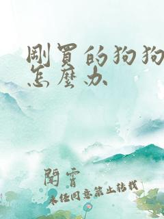 刚买的狗狗拉稀怎么办