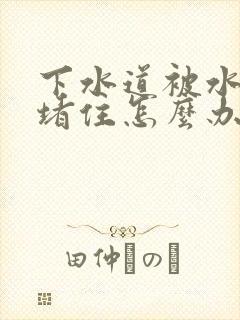 下水道被水泥灰堵住怎么办