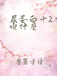 尿蛋白十2不能吃什么