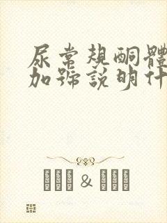 尿常规酮体1个加号说明什么