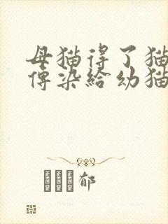 母猫得了猫瘟会传染给幼猫吗