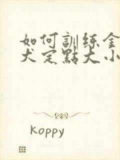 如何训练金毛幼犬定点大小便