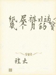 纸尿裤xl适合几个月的宝宝