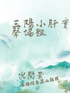 三阳小肝实质回声偏粗