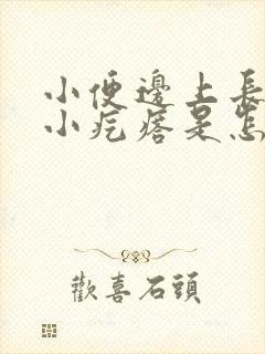 小便边上长了个小疙瘩是怎么回事