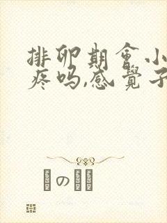 排卵期会小肚子疼吗,感觉子宫下坠