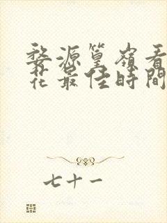 婺源篁岭看油菜花最佳时间