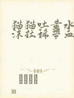 猫猫吐黄水带泡沫拉稀带血