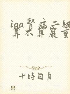 iga肾病二级算不算严重可以治好吗